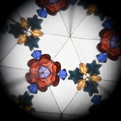 Rex London Kaleidoskop Colourful Creatures