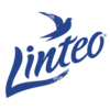 Linteo