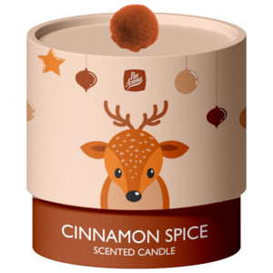 PanAroma vonná svíčka v dárkovém balení Cinnamon Spice 100g