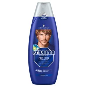Schauma Men šampon s chmelovým extraktem, XL balení 480ml